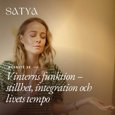 Vinterns funktion – stillhet, integration och livets tempo