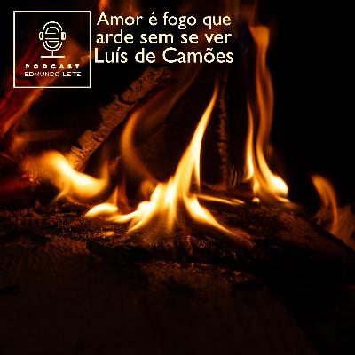 Amor é fogo que arde sem se ver (Luís de Camões)
