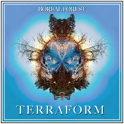 Duluth Band Profile: Boreal Forest