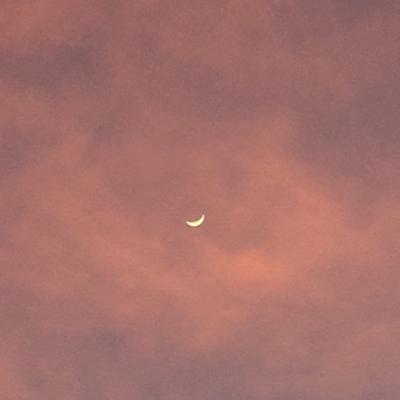 Eps 1: Resolusi Random 2020