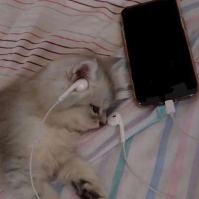 140 - Pasiones que se perdieron | La Filosofía del Insomnio 🛏️🥱