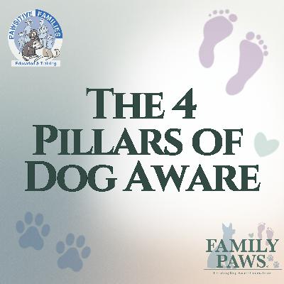 The 4 Pillars of Dog Aware