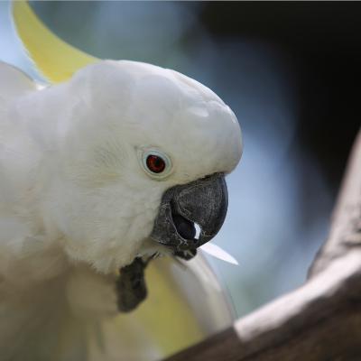 How 'ecological empathy' can shape a better world