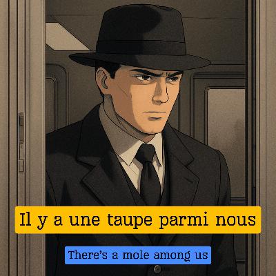 Expression française : "Il y a une taupe parmi nous"