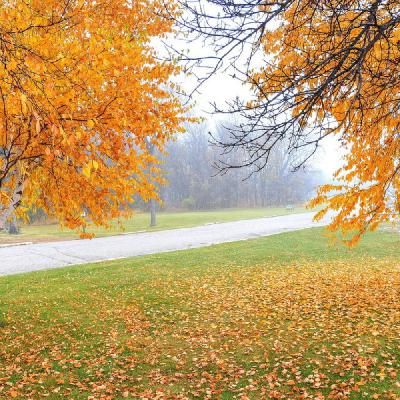 配乐散文诗《秋》