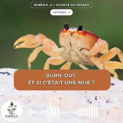 Burn-out, et si c'était une mue ? - Ep.07