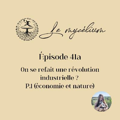 41a. On se refait une révolution industrielle ? P.1 (économie et nature)