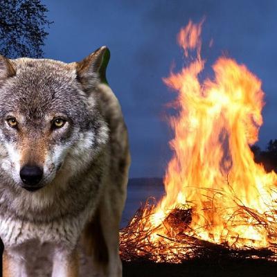 #5 Hexengeschichten am Feuer #5 Hexengeschichten am Feuer