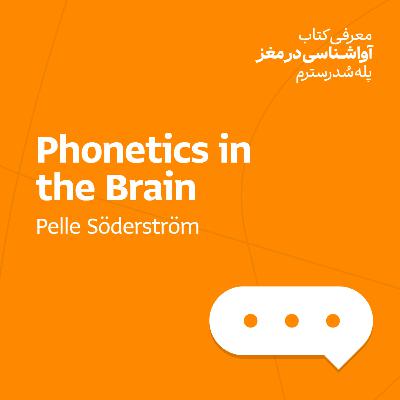 آواشناسی در مغز - پله سُدرسترم آواشناسی در مغز - پله سُدرسترم