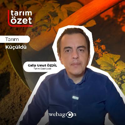 Tarım Özet: Tarım Küçüldü