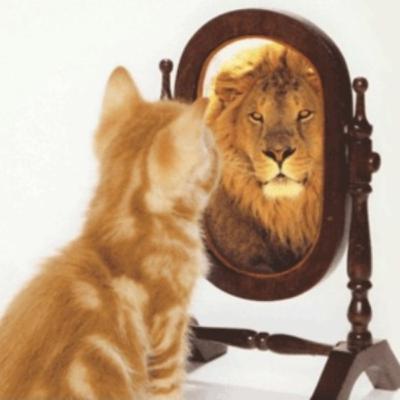 Membangun Self Image Positif untuk Kemajuan Karir Anda