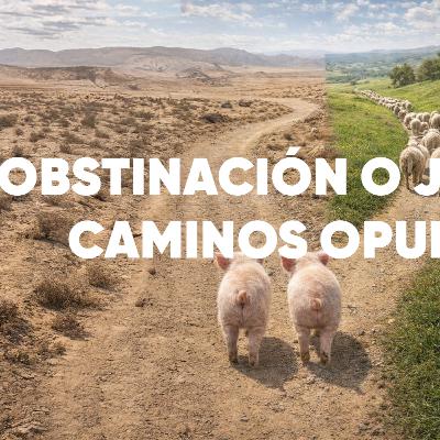 Obstinación o justicia: caminos opuestos | Conectados con Dios Obstinación o justicia: caminos opuestos | Conectados con Dios