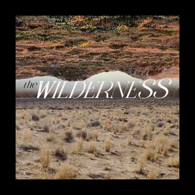 The Wilderness - Hagar and the Naming of God