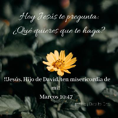 Con un corazón desesperado🍃❤ Hoy Jesús te pregunta:
¿Qué quieres que te haga?