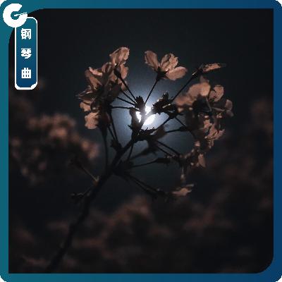 【钢琴曲】一句晚安,一夜美梦 【钢琴曲】一句晚安,一夜美梦