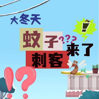 北京雪地上有蚊子在爬？！专家:不稀奇！网友:蚊子刺客来了！