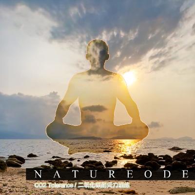 闭气冥想[中级]·礁滩朝霞