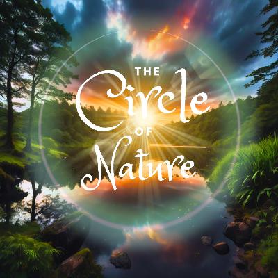 Circle of Nature | Blissfully Hypnotic Scottish Sleep Story..😴💙