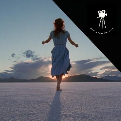 The Tree of Life de Terrence Malick The Tree of Life de Terrence Malick