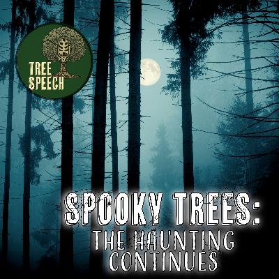 Spooky Trees: The Haunting Continues