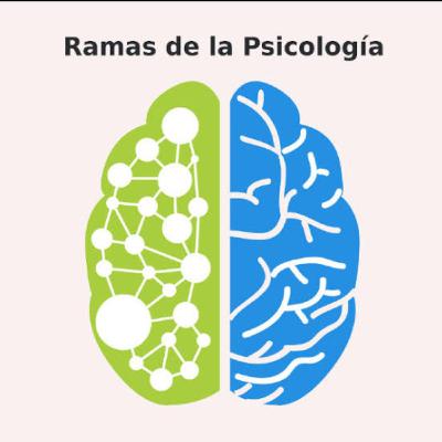 RAMAS DE LA PSICOLOGIA