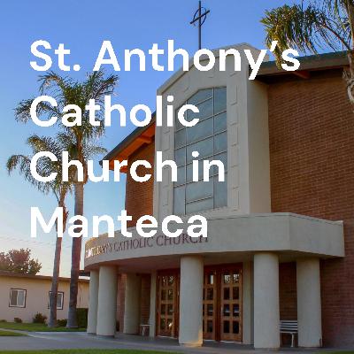 November 22, 2021 Weekday Homily | Fr. Gilberto Arango