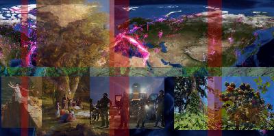 Native or Not? How Science, Politics, and Physics Decide Who Belongs