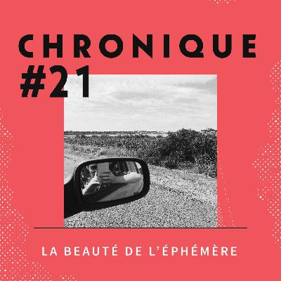 Chronique 21 - La beauté de l'éphémère