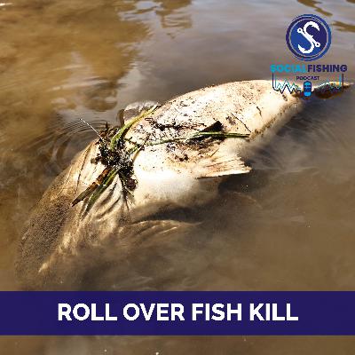Ep99 - Rollover Tragedy: How a Cold Snap and Dam Releases Killed Nesting Murray Cod