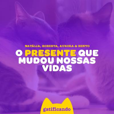 Como os gatos são predestinados em nossas vidas. Gatificando #47 (Natália & Aurora)
