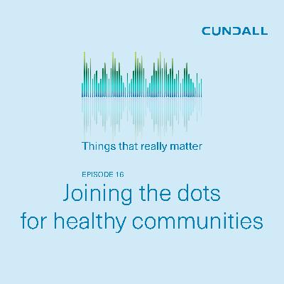 Joining the dots for healthy communities: practical approaches to wellbeing and urban renewal