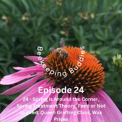 24 - Spring is Around the Corner, Spring Treatment Theory, Feed or Not to Feed, Queen Grafting Class, Wax Prices