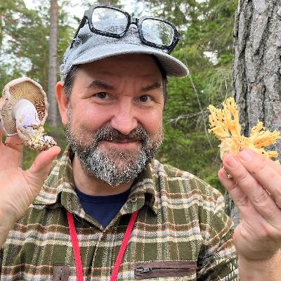 Gotländsk svamptur, den bleka tallörten och tankar om en naturkanon