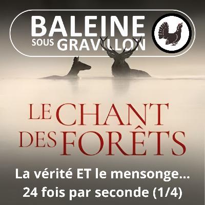 Le Chant des forêts 1/4 : "La vérité ET le mensonge 24 fois par seconde" (Marc Namblard)