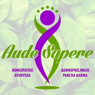 Ayurveda met Josephine Broeders - Aude Sapere