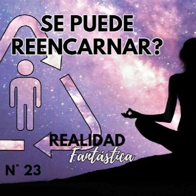 Ep. 23 :Se puede reencarnar?