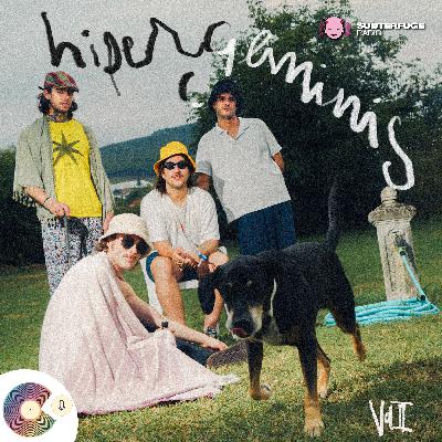 Hipergéminis Vol. 2 – El podcast de Hipergéminis Hipergéminis Vol. 2 – El podcast de Hipergéminis