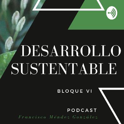 Estrategias para la sustentabilidad