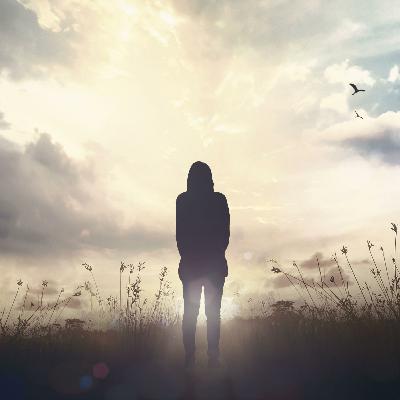 Deepening Insight into Impermanence Deepening Insight into Impermanence