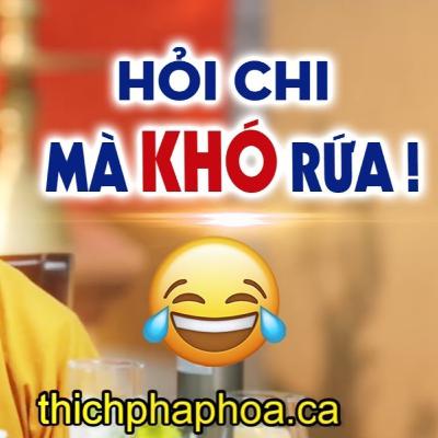 CƯỜI MỎI MIỆNG với những câu hỏi Vấn Đáp "Siêu Khó" liên tục được hỏi - Thầy Thích Pháp Hòa