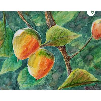 Sindbad ki Pahli Yatra