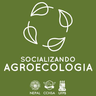 Apresentação do projeto