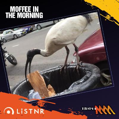 Moffee Apologises For Comments Made on Program