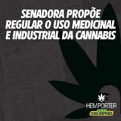 Senadora propõe regulamentação do uso medicinal e industrial da cannabis Senadora propõe regulamentação do uso medicinal e industrial da cannabis