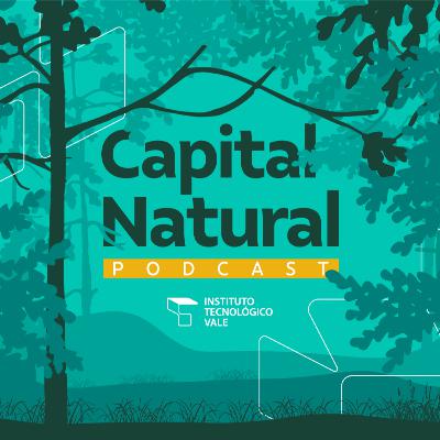 Teaser Capital Natural