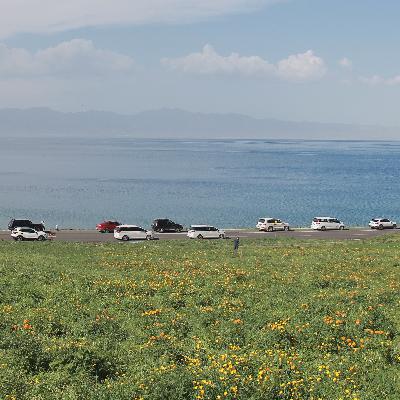 E02 心理探索：浅聊内在动机和行为归因