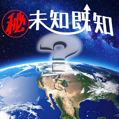 ＃13 便器上のチリ毛に気づける人生は豊かだ