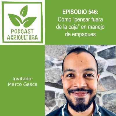 546 Cómo “pensar fuera de la caja” en manejo de empaques con Marco Gasca 546 Cómo “pensar fuera de la caja” en manejo de empaques con Marco Gasca
