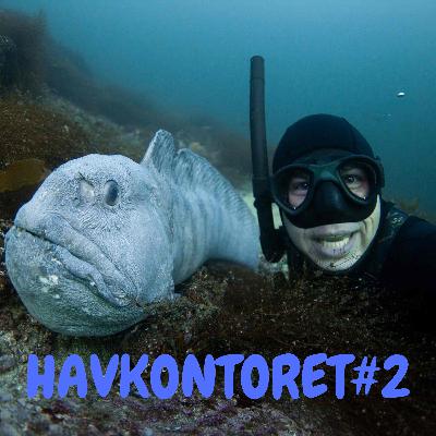 Havkontoret episode 2 - Michael Byø