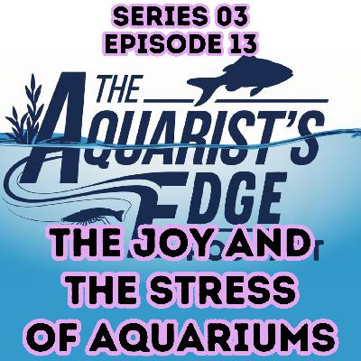 The Joy And The Stress Of Aquariums The Joy And The Stress Of Aquariums